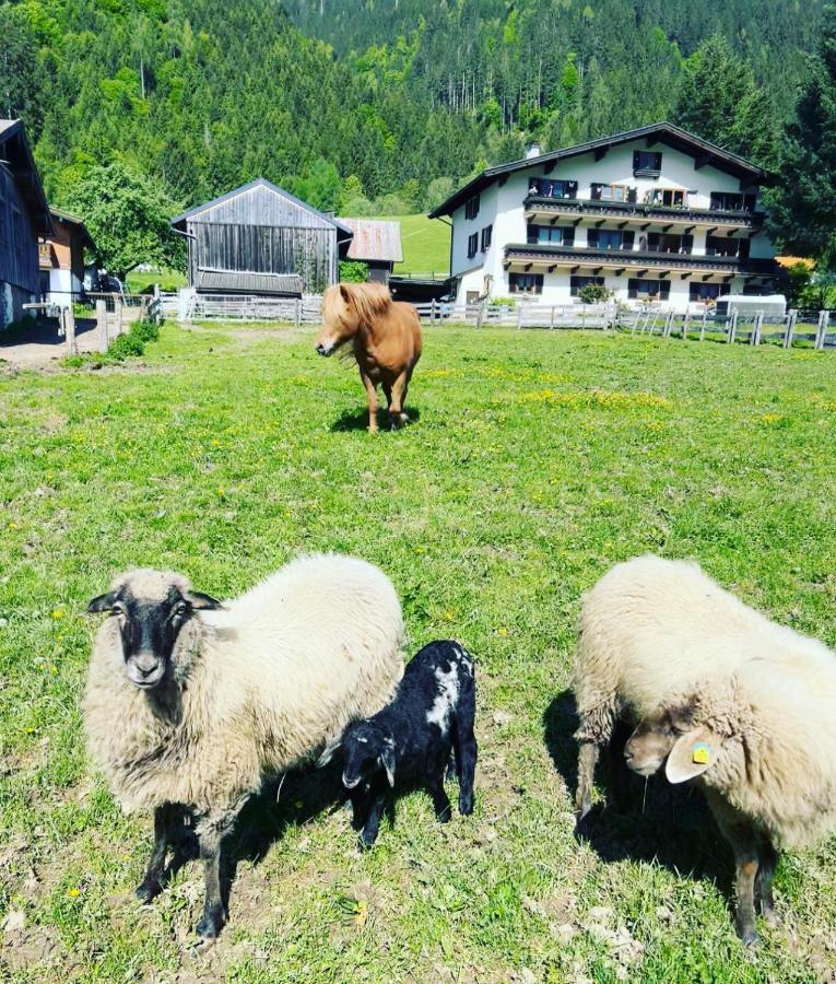 Hettlerhof Hotel ไมส์โฮเฟิน ภายนอก รูปภาพ